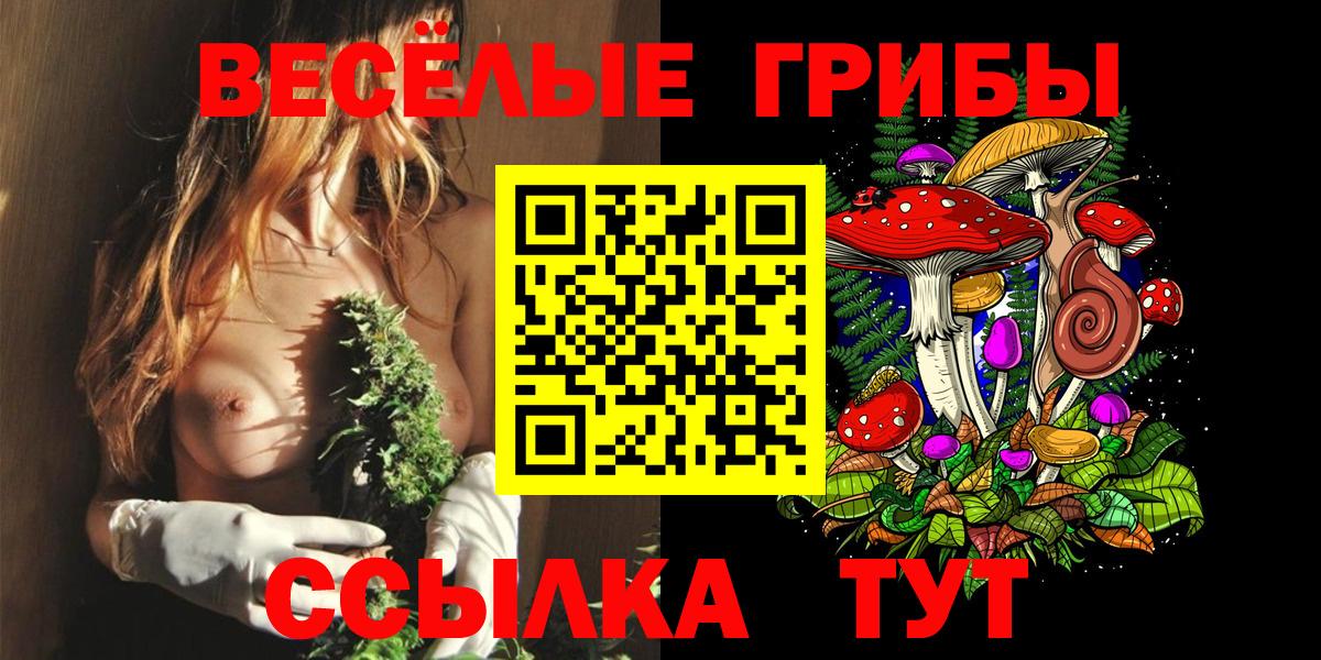 Грозный  купить закладку  Вход с VPN  Галлюциногенные грибы мухоморы  Псилоцибиновые грибы GOLDEN TEACHER 