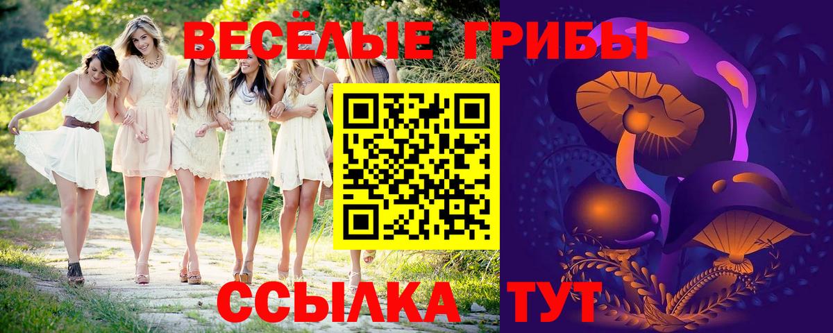 Галлюциногенные грибы Magic Shrooms Грозный