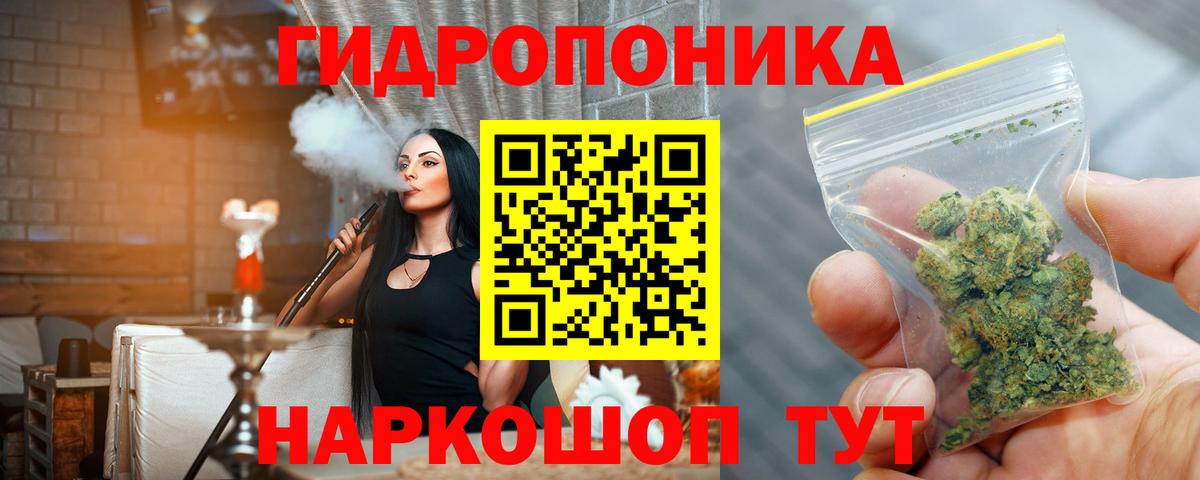 Бошки Шишки AK-47 Грозный